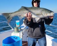 2022 fall striper 2 20221102