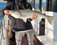 2022 fall striper 4 20221102