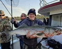 486135273 1091670749668864 n