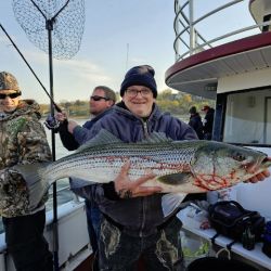 486135273 1091670749668864 n