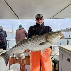 486436459 1091670779668861 n