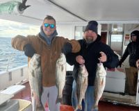 486742569 1093177966184809 n