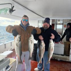 486742569 1093177966184809 n