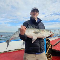 560359681 1255775636591707 n