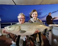 561317408 1256760196493251 n