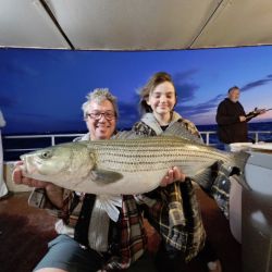 561317408 1256760196493251 n