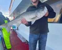 561549570 1257178893118048 n