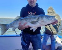 561871393 1257178873118050 n