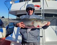 561924903 1257178809784723 n