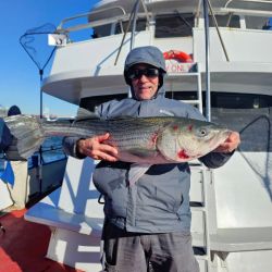 561924903 1257178809784723 n