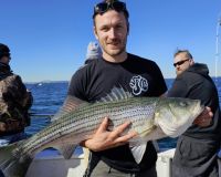 565133515 1253299523505985 n