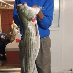 sandy hook   keyport fishing 26 20200602