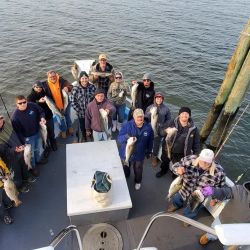 sandy hook   keyport fishing 95 20200602