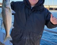 stripers 2 20211217